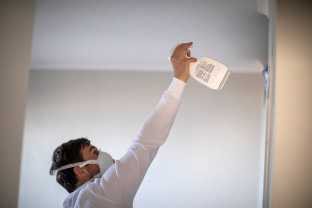 Best Attic Mold Removal  in Opelika, AL