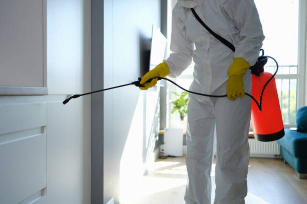 Best Crawl Space Mold Removal  in Opelika, AL
