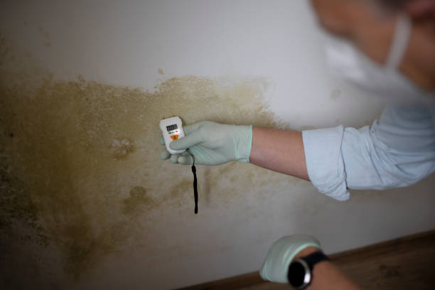 Best Commercial Mold Removal  in Opelika, AL