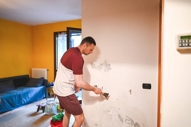Best Black Mold Removal  in Opelika, AL
